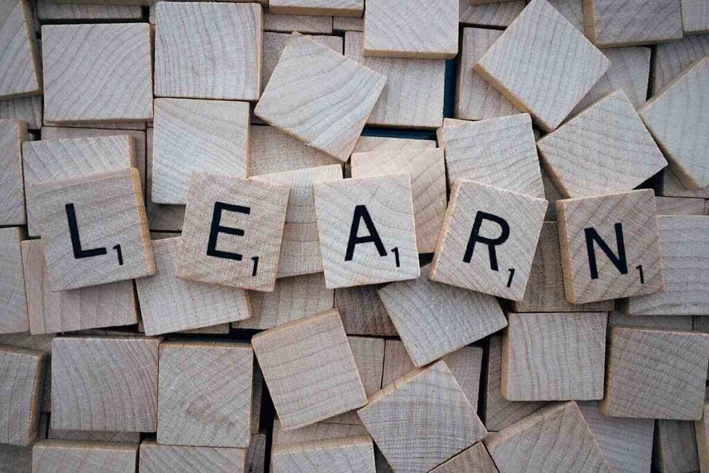 Mediated Learning Experience