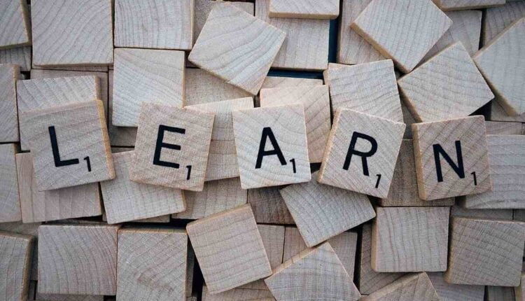 Mediated Learning Experience