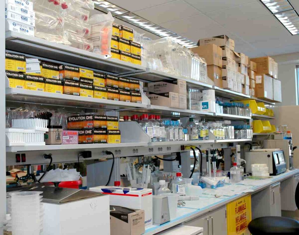 Tesi Lab