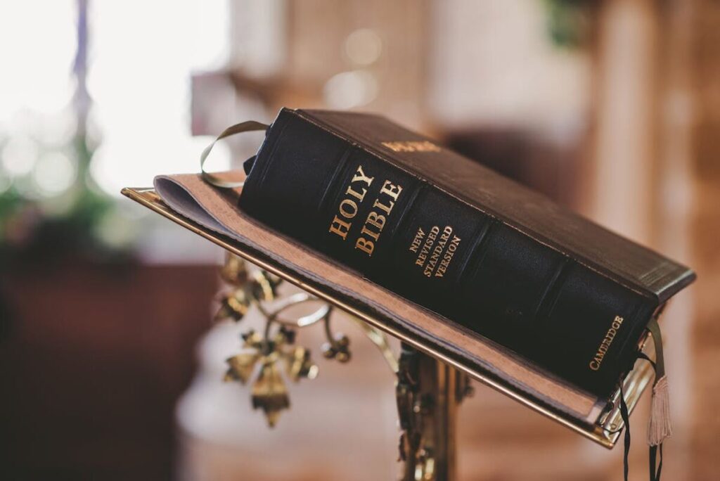What is Verses App