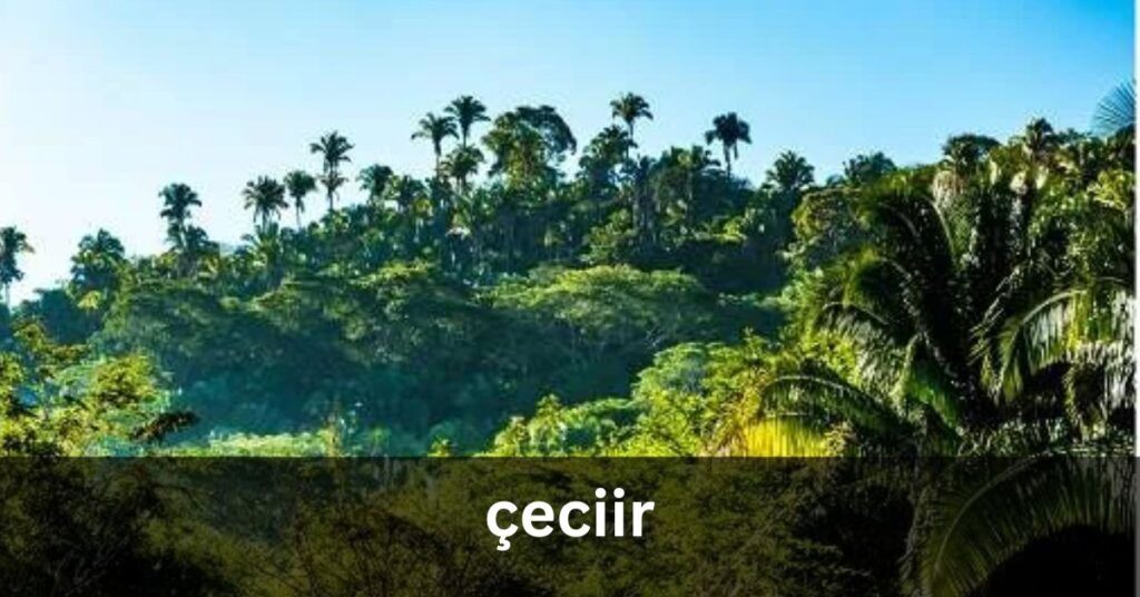 Çeciir