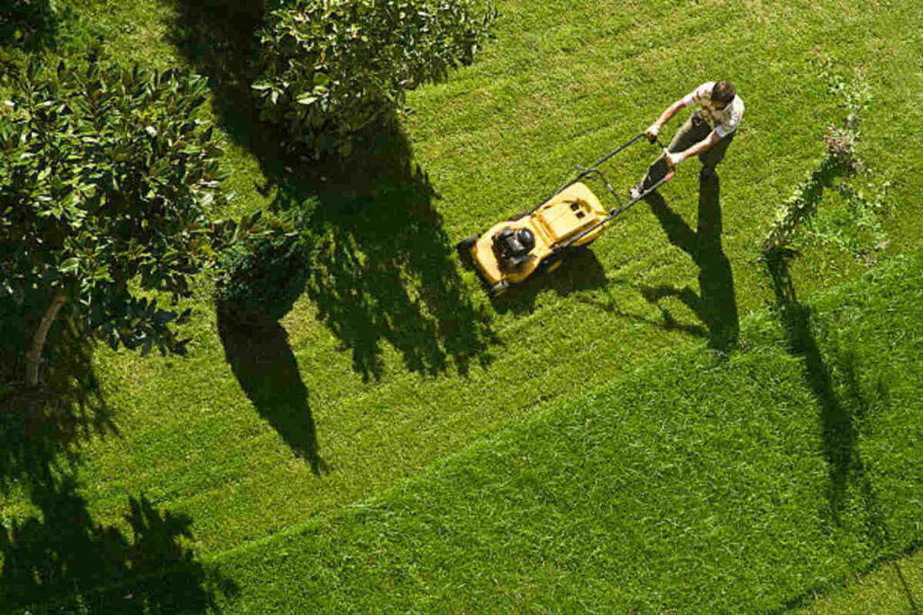 lawn mowing in Gold Coast QLD