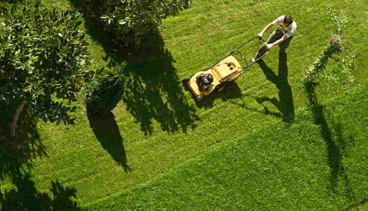 lawn mowing in Gold Coast QLD