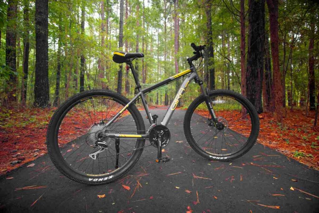 SE Bike The Most Popular SE Bike
