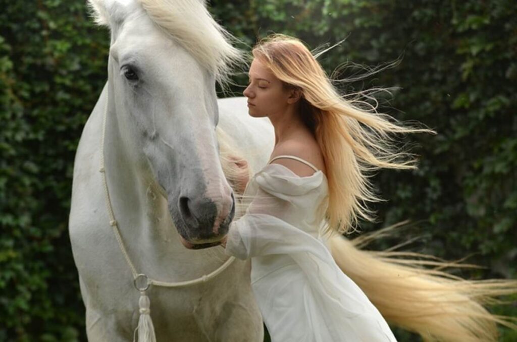 horse medicine for sale