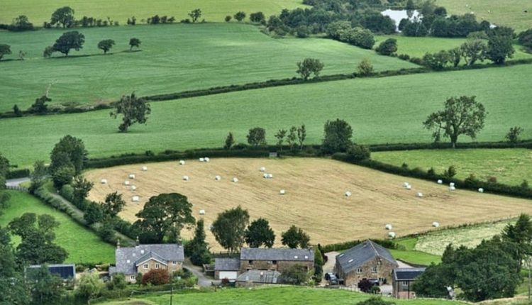 Investing in Rural Land