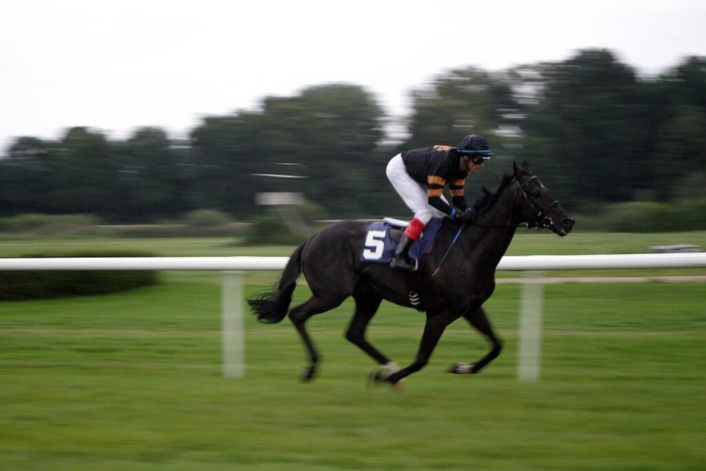 Polytrack